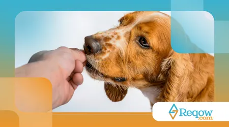 Afetados por excesso de estímulos