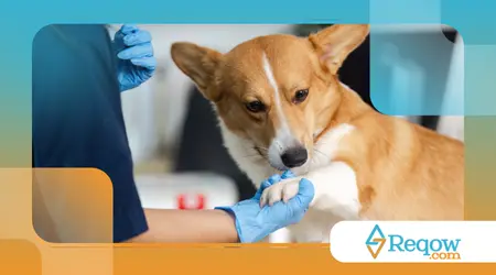 Impactados por falta de rotina fixa