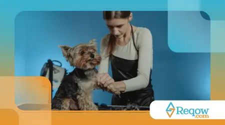 Impactados por falta de rotina fixa