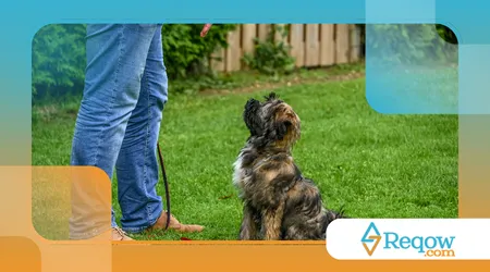 Diante de visitas frequentes