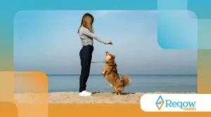 Diante de visitas frequentes