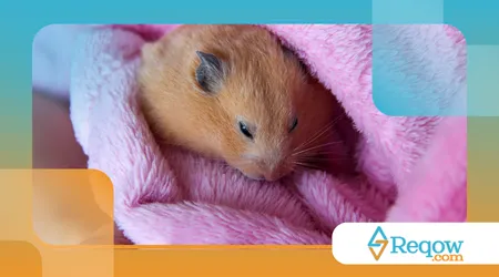 Por que hamster dorme de dia