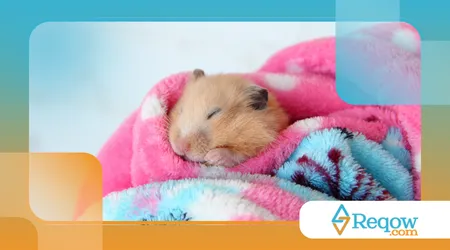 Por que hamster dorme de dia