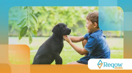 ajudar o seu pet a se adaptar a mudanças na sua rotina 