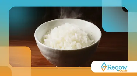 arroz com carne moída para cahorro