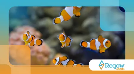 cuidar de peixe em aquário pequeno