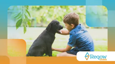evitar que seu pet desenvolva dependência emocional