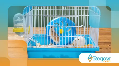 limpar gaiola de hamster