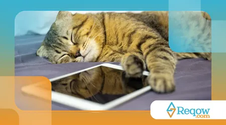 Gato dormindo sobre eletrônicos