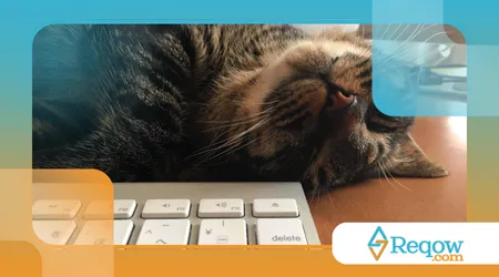 Gato dormindo sobre eletrônicos