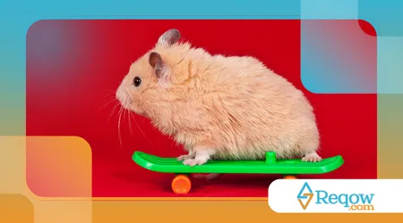 Hamster fugindo do contato