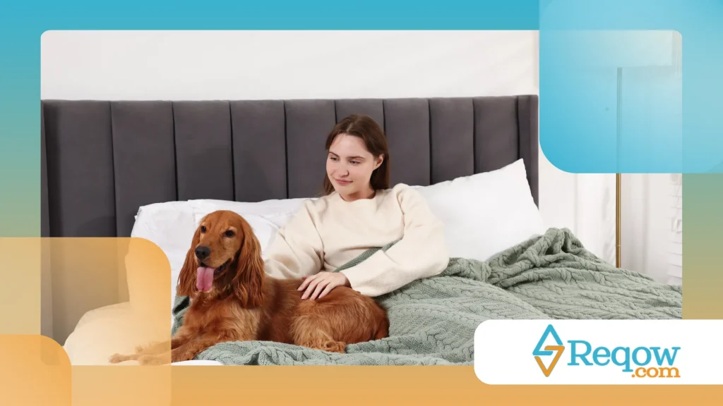 ambiente pet-friendly em apartamentos compactos 