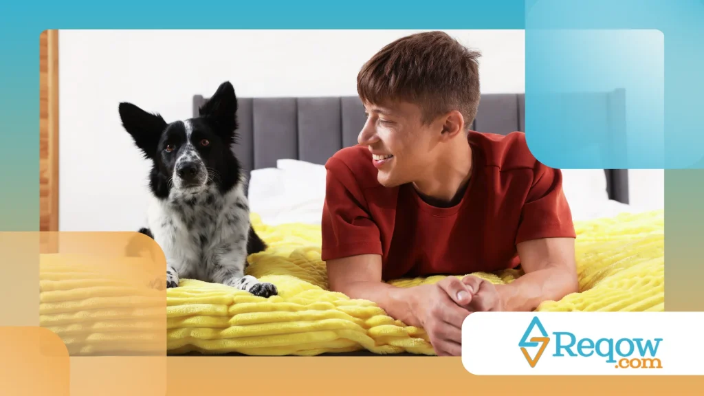 ambiente pet-friendly em apartamentos compactos 