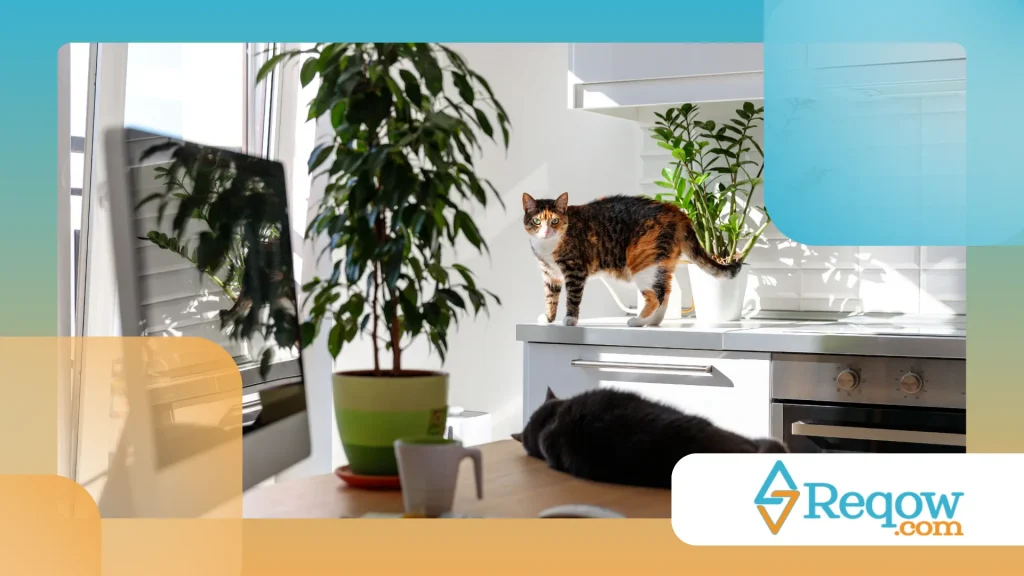 ambiente pet-friendly em apartamentos compactos 