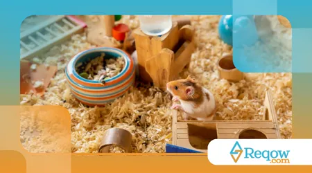 cuidar de hamster no calor