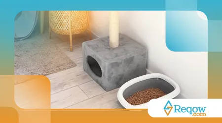 organizar um espaço higiênico para pets em apartamentos pequenos