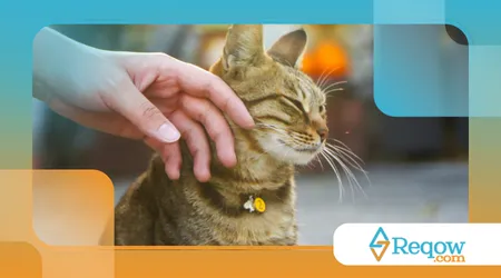 organizar um espaço higiênico para pets em apartamentos pequenos