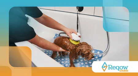 organizar um espaço higiênico para pets em apartamentos pequenos