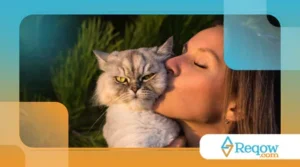 rotina inteligente para tutores ocupados