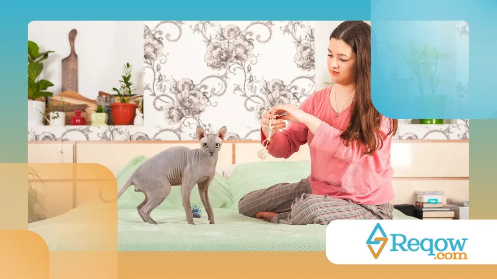 ambiente da casa interfere diretamente na saúde física e emocional dos animais