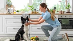 Como o ambiente da casa interfere diretamente na saúde física e emocional dos animais