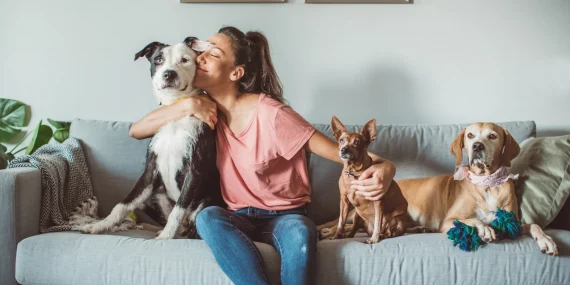O que observar no seu pet durante os cinco minutos de inspeção diária