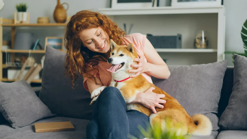 pets que vivem dentro de casa também precisam de antipulgas