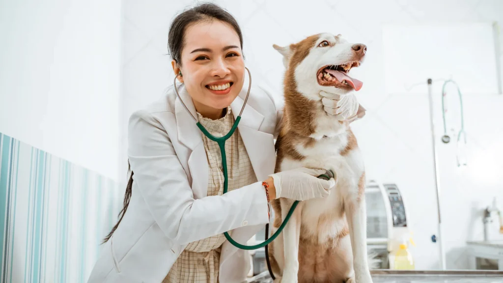 adaptar os cuidados básicos conforme a idade do animal