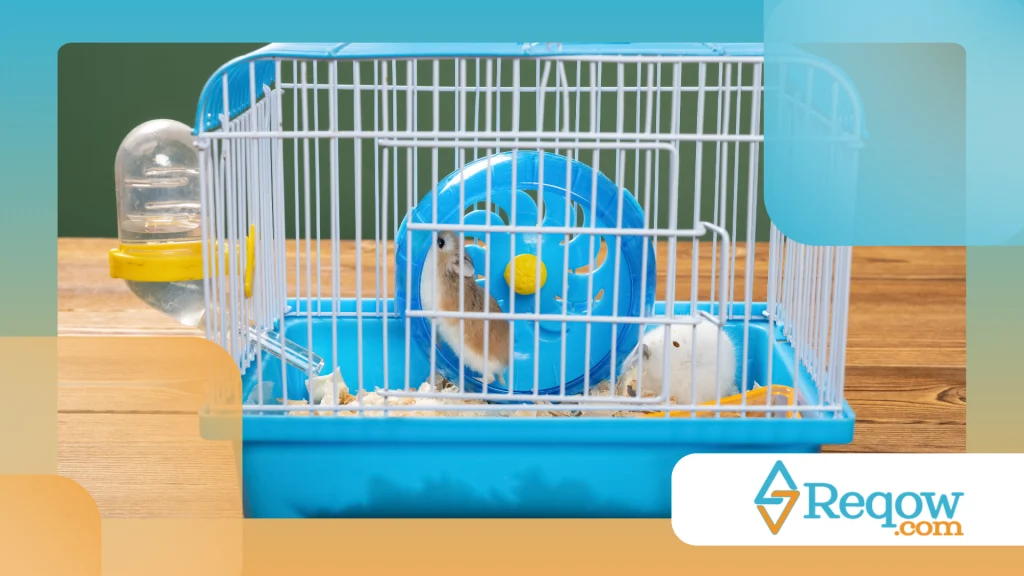 Hamster durante uma viagem