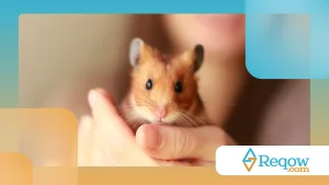 Hamster ativo apenas em determinados horários: entenda