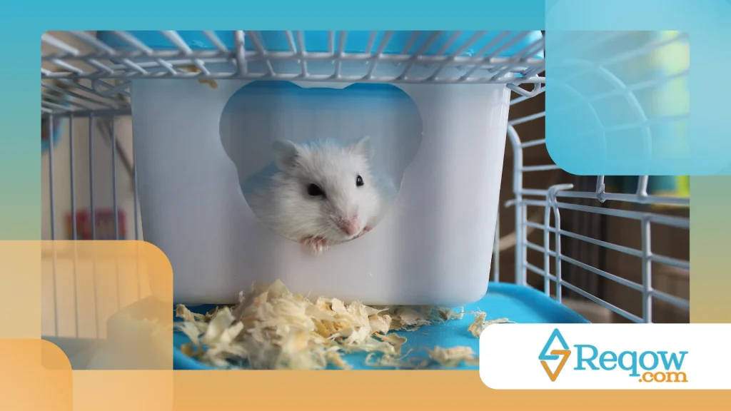 Hamster com respiração acelerada
