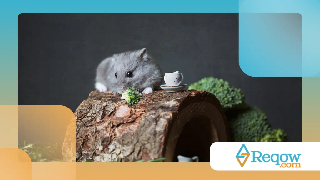 Hamster escondendo comida em excesso