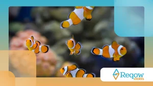 Peixe nadando apenas na superfície: possíveis explicações